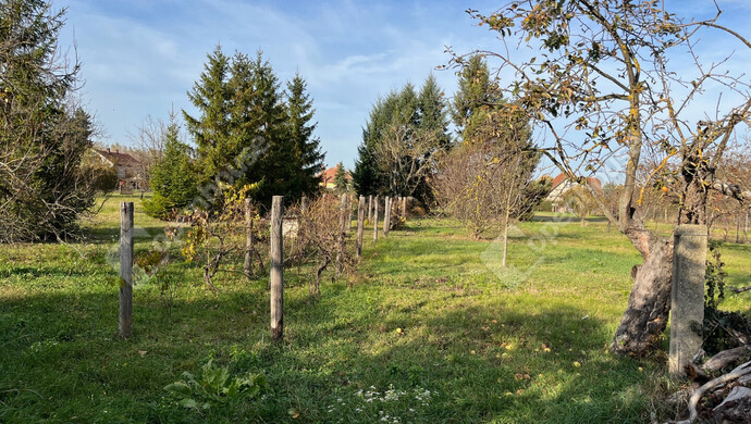 3. kép | Eladó Családi ház, Fertőd (#178187)