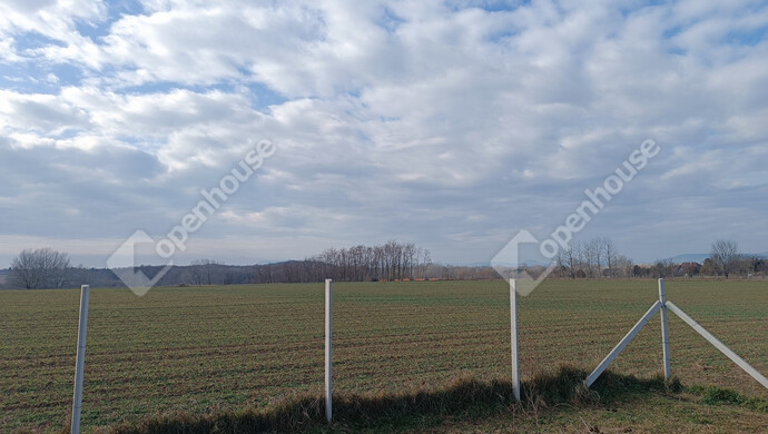 31. kép | Eladó Családi ház, Balatonlelle (#177651)