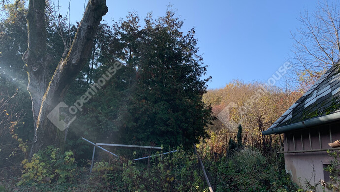 24. kép | Eladó Nyaraló, Homokkomárom (#178400)