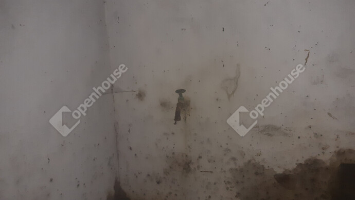 44. kép | Eladó Zárt kert, Sand (#180348)