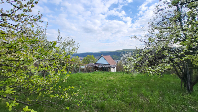 16. kép | Eladó Családi ház, Miskolc (#181067)