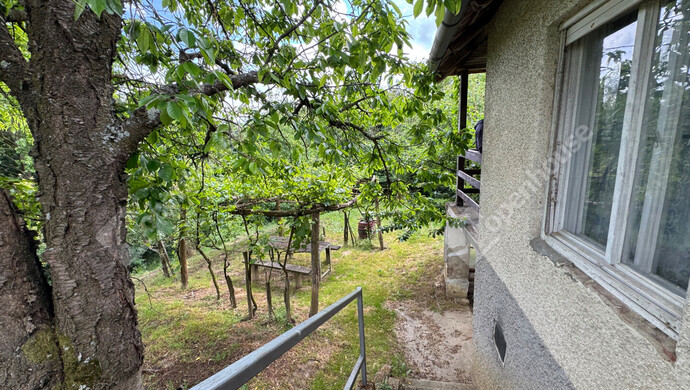 12. kép | Eladó Zárt kert, Padár (#175253)