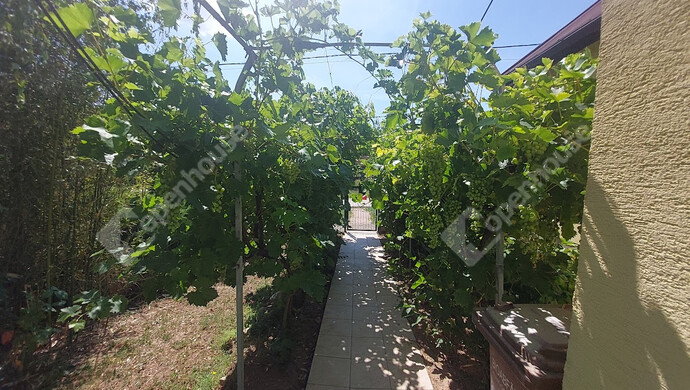 21. kép | Eladó Családi ház, Zics (#176371)