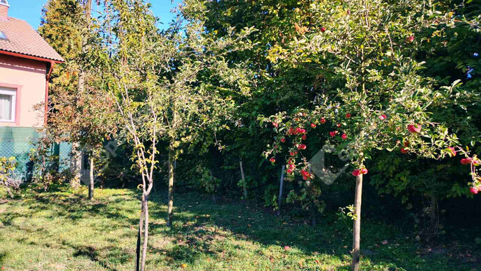 11. kép | Székesfehérvár eladó sorház | Eladó Társasházi lakás, Székesfehérvár (#177382)