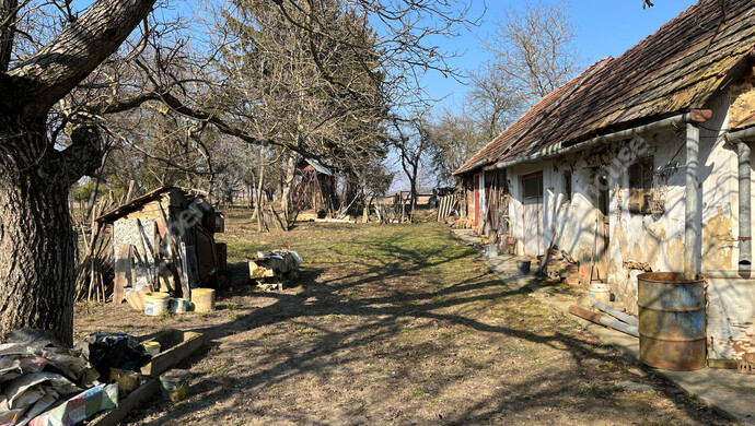 12. kép | Eladó Családi ház, Orosztony (#180439)