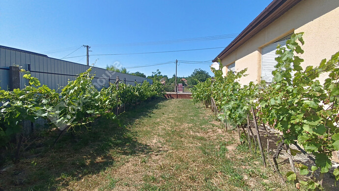 28. kép | Eladó Családi ház, Buzsák (#177690)