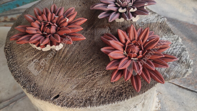 13. kép | Eladó Nyaraló, Szeged (#179606)