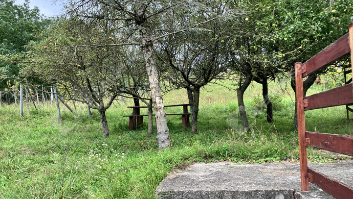 7. kép | Eladó Zárt kert,  (#177177)