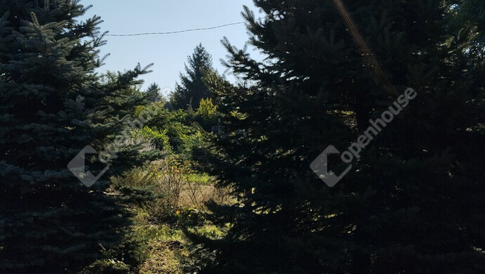 9. kép | Eladó Zárt kert, Győr (#177345)