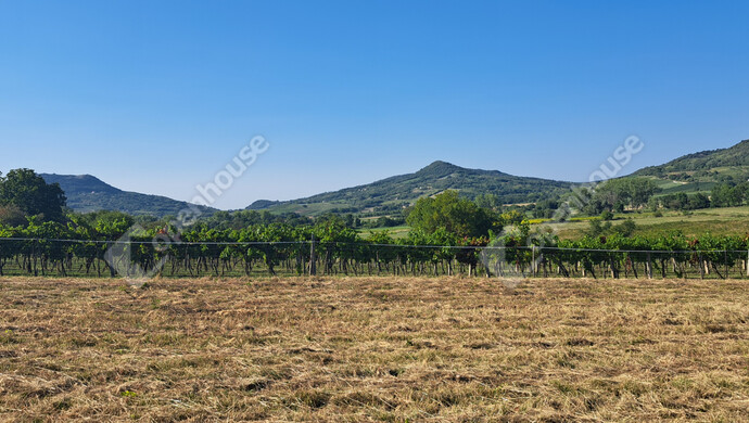 6. kép | Eladó Családi ház, Káptalantóti (#180046)