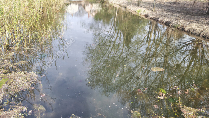 37. kép | Eladó Családi ház, Molnári (#180815)