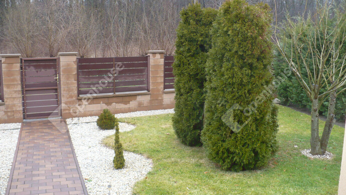 15. kép | Eladó Családi ház, Debrecen (#180577)