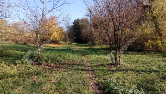 6. kép | Eladó Zárt kert, Zalaegerszeg (#69557)