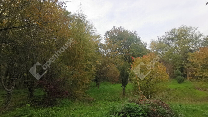 13. kép | Eladó Nyaraló, Homokkomárom (#179217)