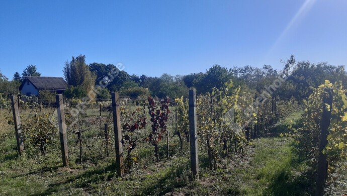 21. kép | Eladó Nyaraló, Nagykanizsa (#177111)