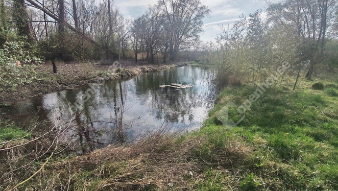 48. kép | Eladó Családi ház, Molnári (#180815)