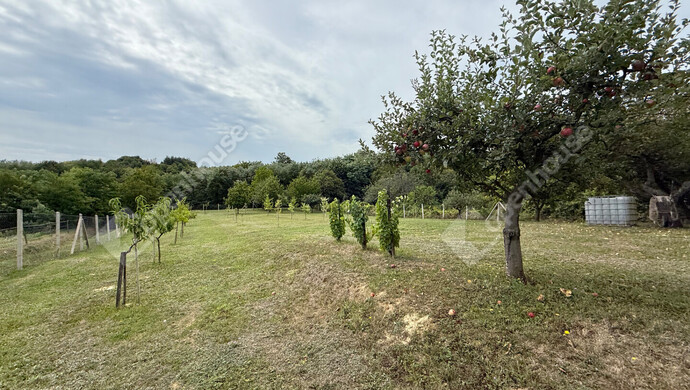 24. kép | Eladó Zárt kert, Nagykapornak (#176686)