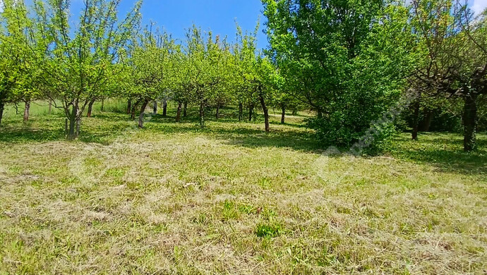 5. kép | Eladó Telek, Zalaegerszeg (#182103)