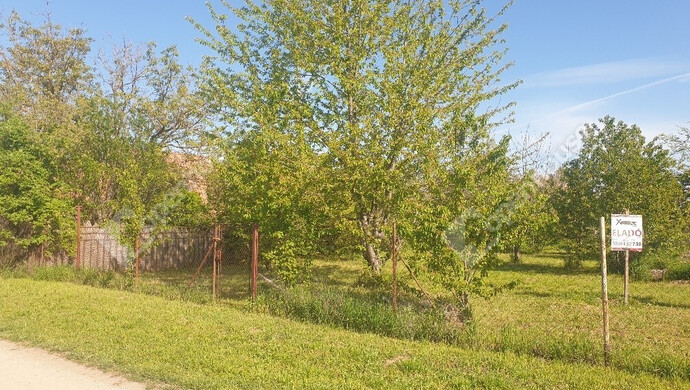 4. kép | Eladó Zárt kert, Deszk (#169722)