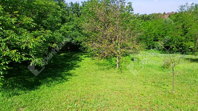 0. kép | Eladó Telek, Zalaegerszeg (#182102)