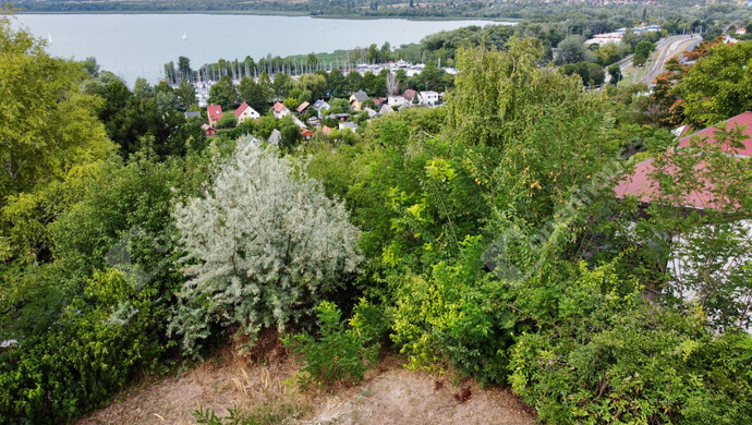 4. kép | Eladó Családi ház, Balatonfűzfő (#176272)