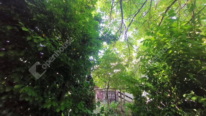 22. kép | Eladó Nyaraló, Homokkomárom (#176681)