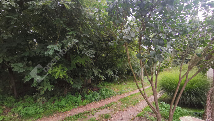 15. kép | Eladó Nyaraló, Homokkomárom (#177348)