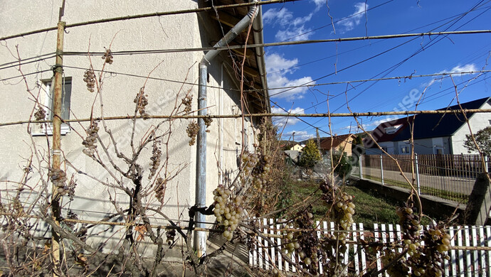 3. kép | Eladó Ikerház, Kazincbarcika (#177974)