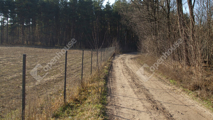 4. kép | Eladó Tanya, Vasad (#177139)