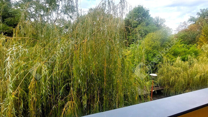 15. kép | Eladó Téglaépítésű lakás, Balatonszemes (#177838)