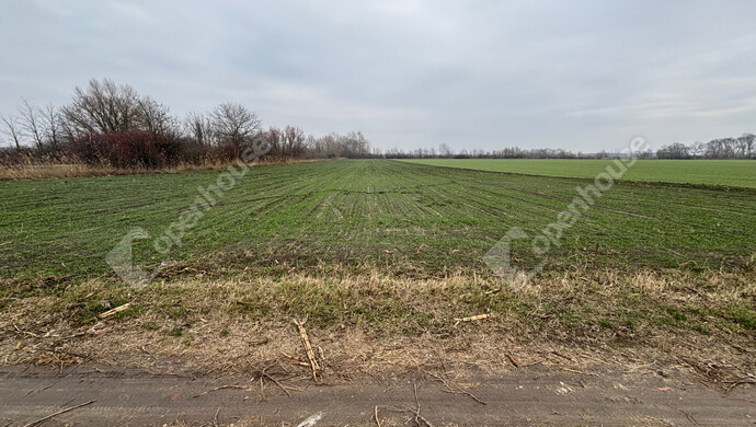 1. kép | Eladó Telek, Csévharaszt (#178889)