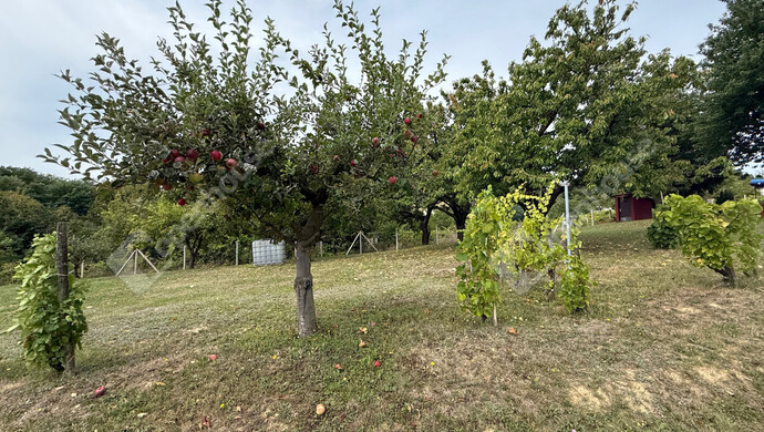 23. kép | Eladó Zárt kert, Nagykapornak (#176686)