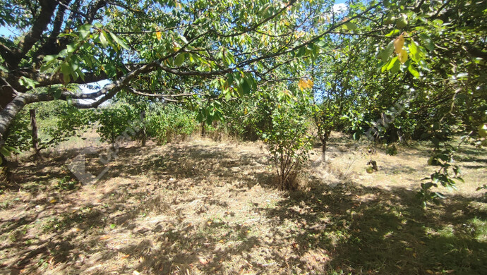 54. kép | Eladó Nyaraló, Szepetnek (#176202)