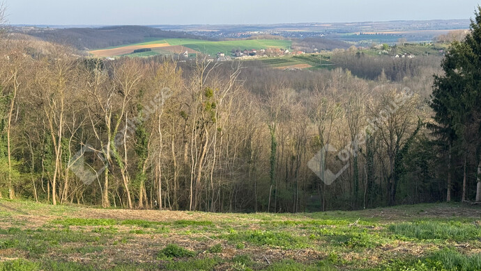 12. kép | Eladó Telek, Zalaegerszeg (#169779)