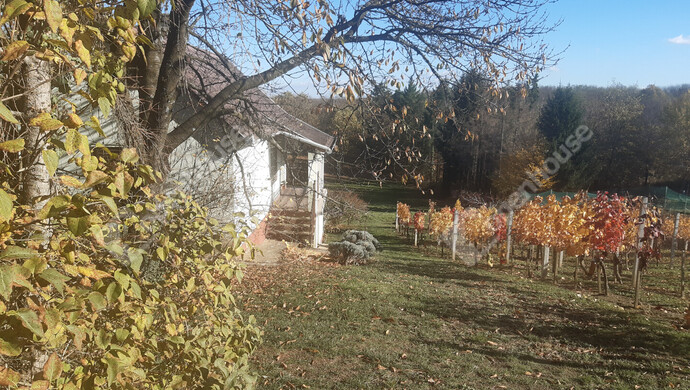 31. kép | Eladó Nyaraló, Sand (#178225)