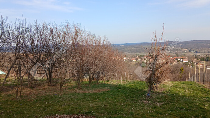 6. kép | Eladó Zárt kert, Bocfölde (#180295)