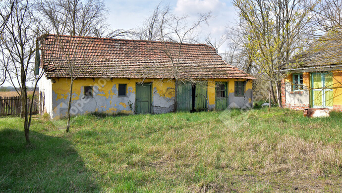 2. kép | Eladó Tanya, Balástya (#180752)