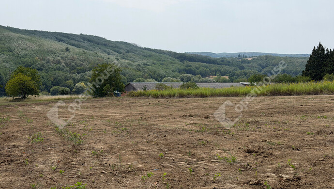 0. kép | Eladó Telek, Zalaegerszeg (#183433)