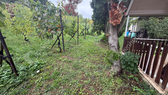 34. kép | Eladó Zárt kert, Zalaegerszeg (#177101)