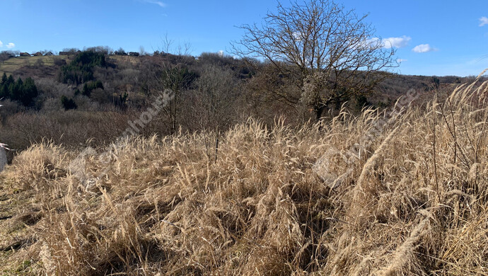 9. kép | Eladó Nyaraló, Homokkomárom (#179898)