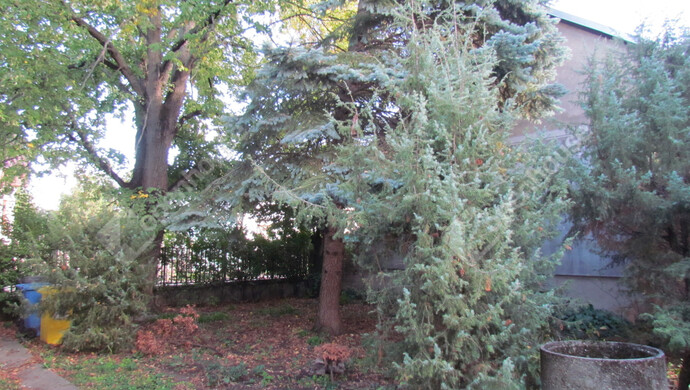 24. kép | Eladó Családi ház, Miskolc (#176222)