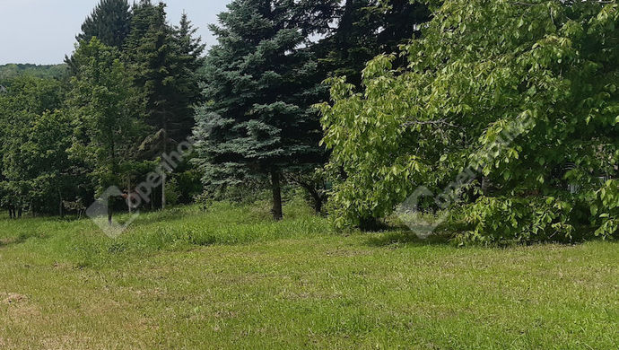 38. kép | Eladó Nyaraló, Nagykanizsa (#168944)