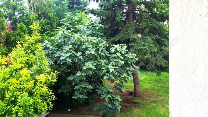 14. kép | Eladó Családi ház, Komárom (#176329)