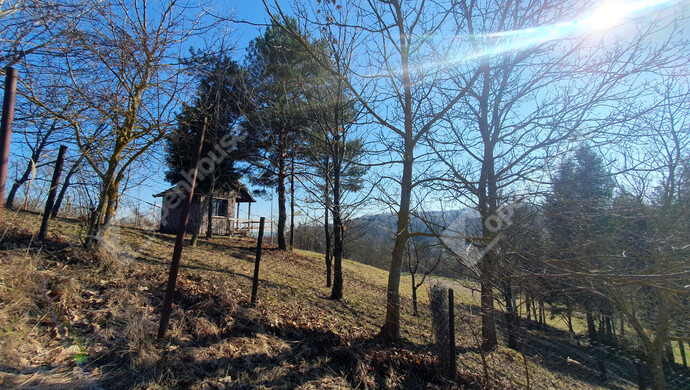 93. kép | Eladó Nyaraló, Homokkomárom (#180173)