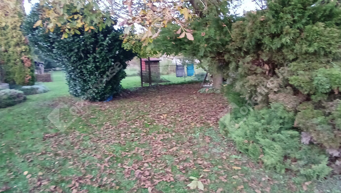 40. kép | Eladó Családi ház, Barlahida (#177614)