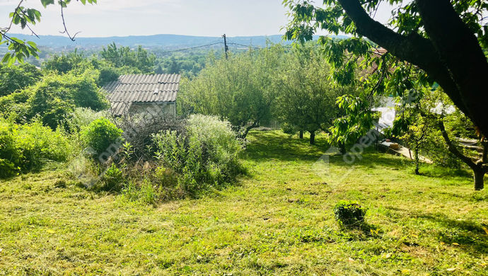 10. kép | Eladó Zárt kert, Zalaegerszeg (#169619)