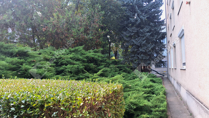 12. kép | Eladó Téglaépítésű lakás, Budapest II. Ker. (#173804)