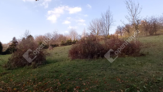 4. kép | Eladó Zárt kert, Zalaegerszeg (#69557)