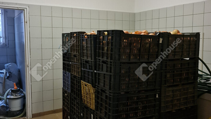 11. kép | Eladó Ipari ingatlan, Makó (#178828)