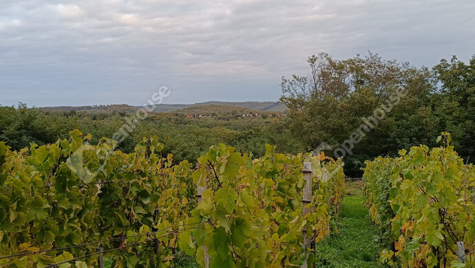 16. kép | Eladó Családi ház, Letenye (#178074)